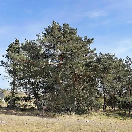 1539-aakirkeby-sohojbakken-26 Dom wakacyjny